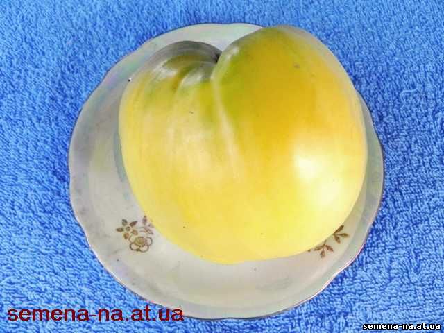 Томат Белая вишня